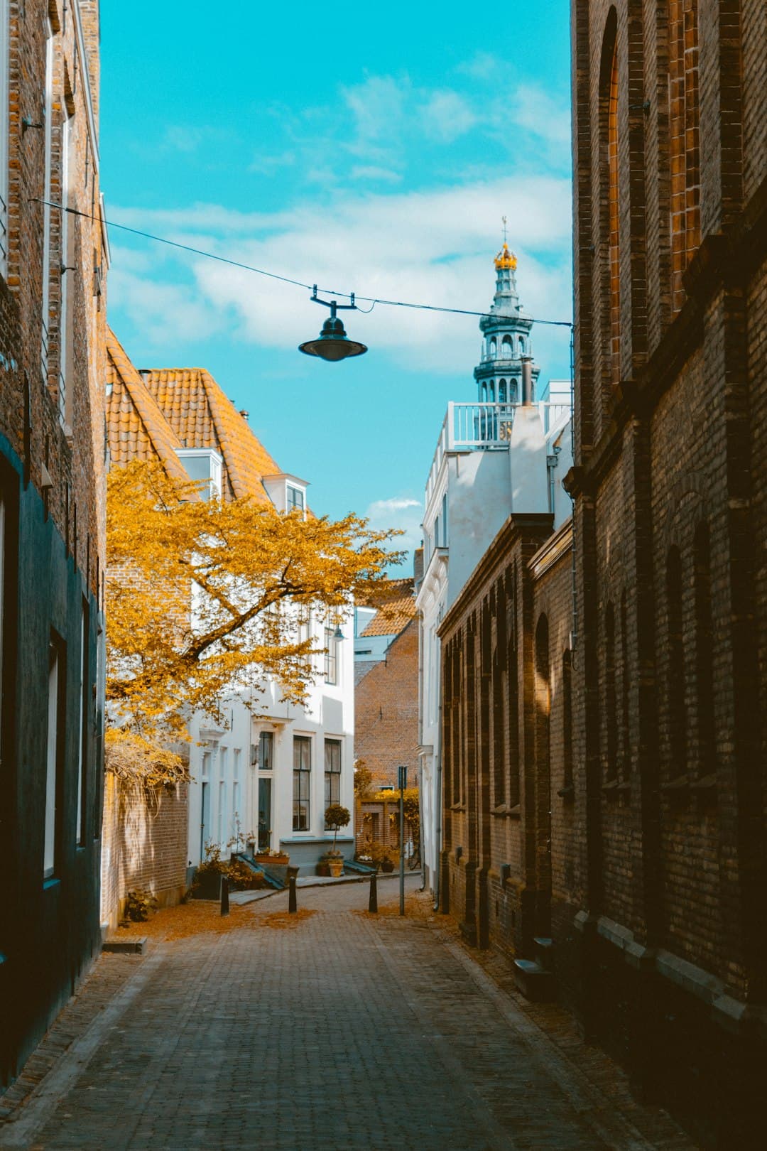 Padel in Middelburg